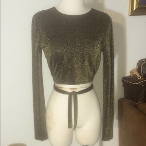 Reformation Gold Glitter Crop Top
